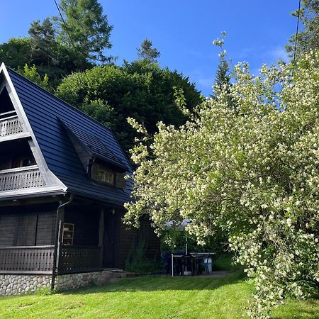 Drewniany Domek Bb Nad Rzeka Powrożnik Exterior foto