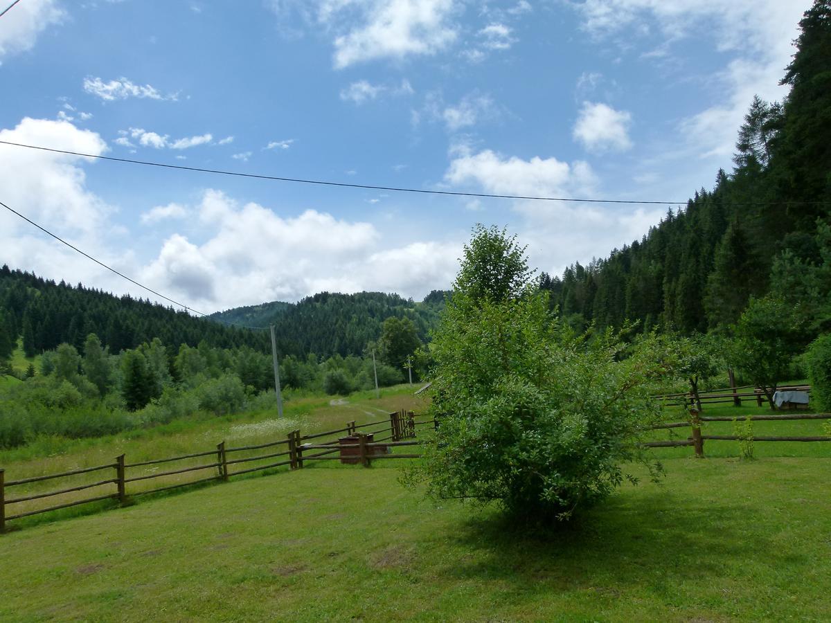 Drewniany Domek Bb Nad Rzeka Powrożnik Exterior foto